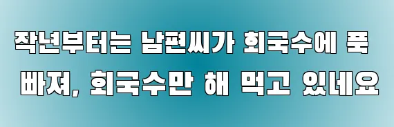 작년부터는 남편씨가 회국수에 푹 빠져, 회국수만 해 먹고 있네요