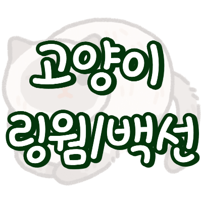 고양이 링웜 백선