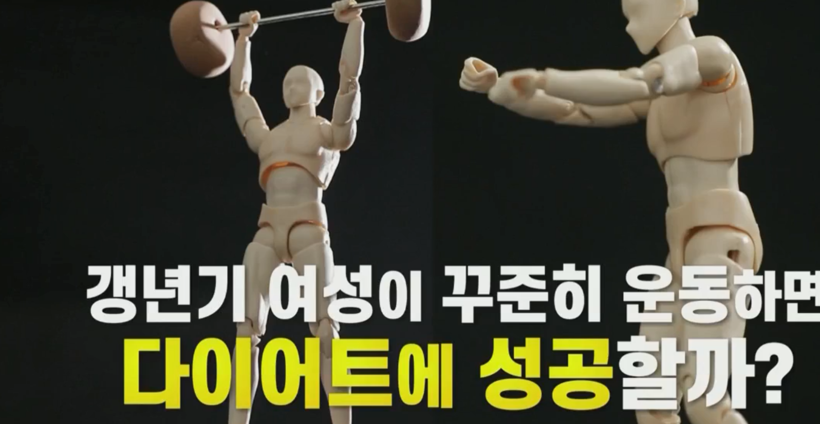  갱년기 다이어트 묵은살 빼는 소금나트륨섭취법 필승전략 모유유래BNR17유산균 효능 비에날씬추천 섭취방법 우엉조림레시피 물만마셔도찌는살 천기누설 1230방송