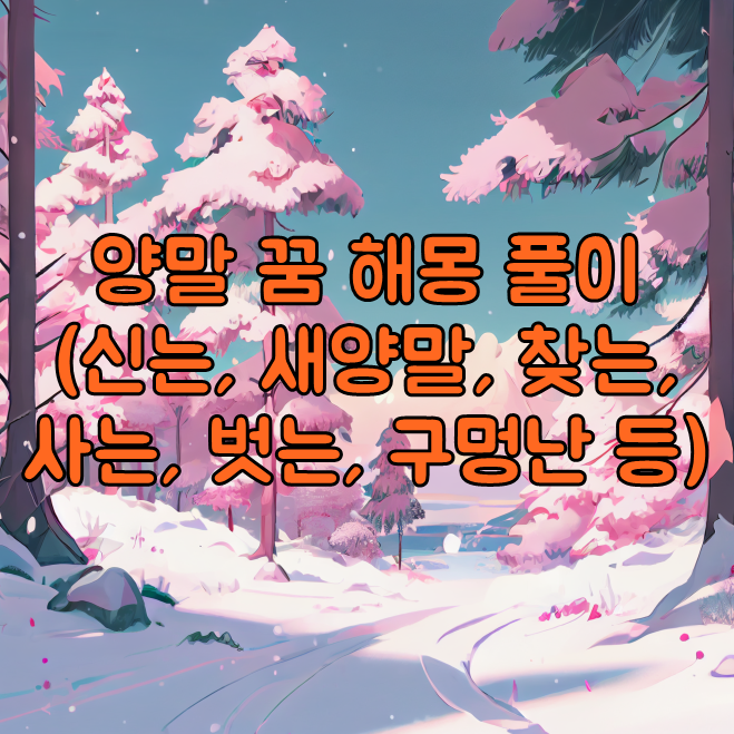  양말 꿈 해몽 풀이(신는, 새양말, 찾는, 사는, 벗는, 구멍난 등)