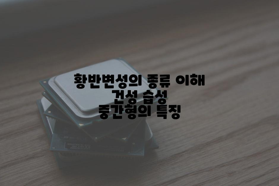 황반변성의 종류 이해 건성 습성 중간형의 특징