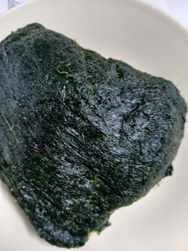 Seaweed, Monostroma nitidum