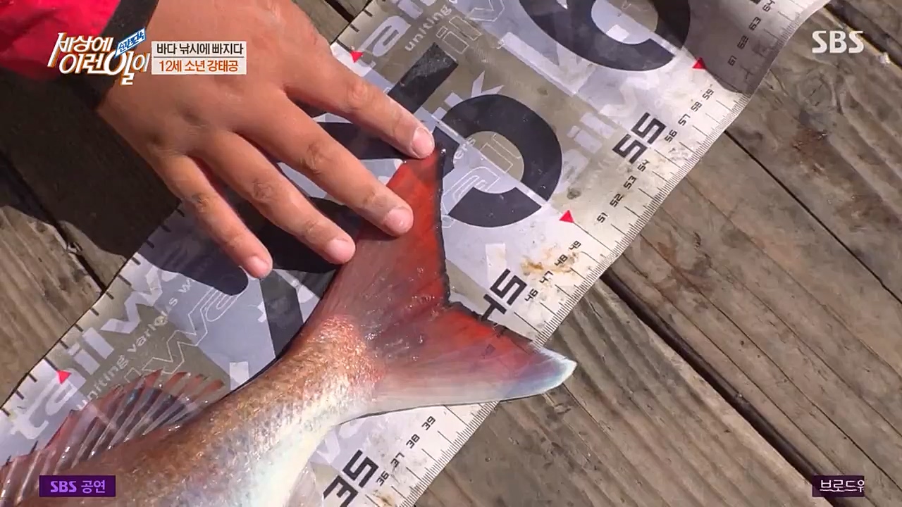 순간포착 세상에 이런일이.E1216.230208p-NEXT.mp4_20230208_194147.240.jpg