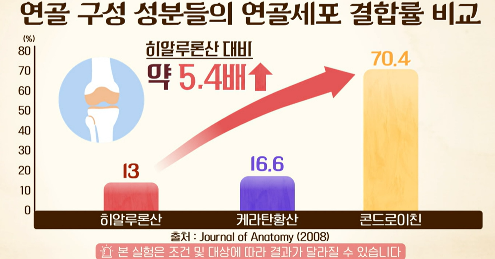 콘드로이친 효능