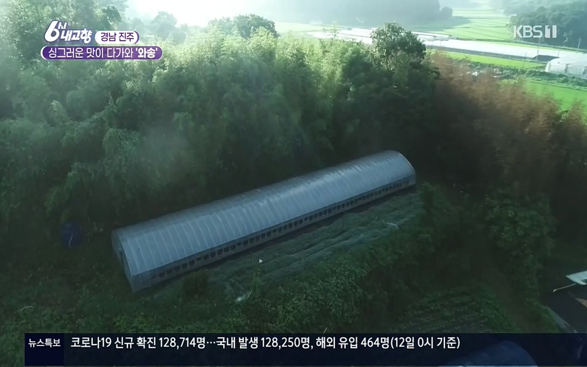 6시 내고향.E7596.220813p.H264-F1RST.mp4_20220814_180544.351.jpg