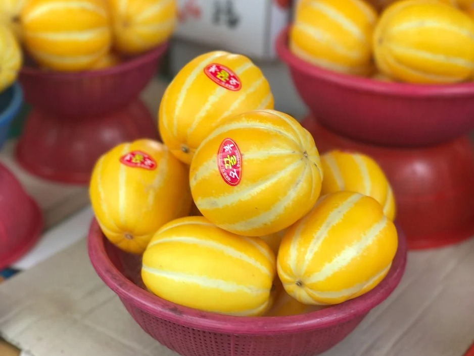  참외 칼로리 및 효능 궁금하세요? 알려드릴게요!