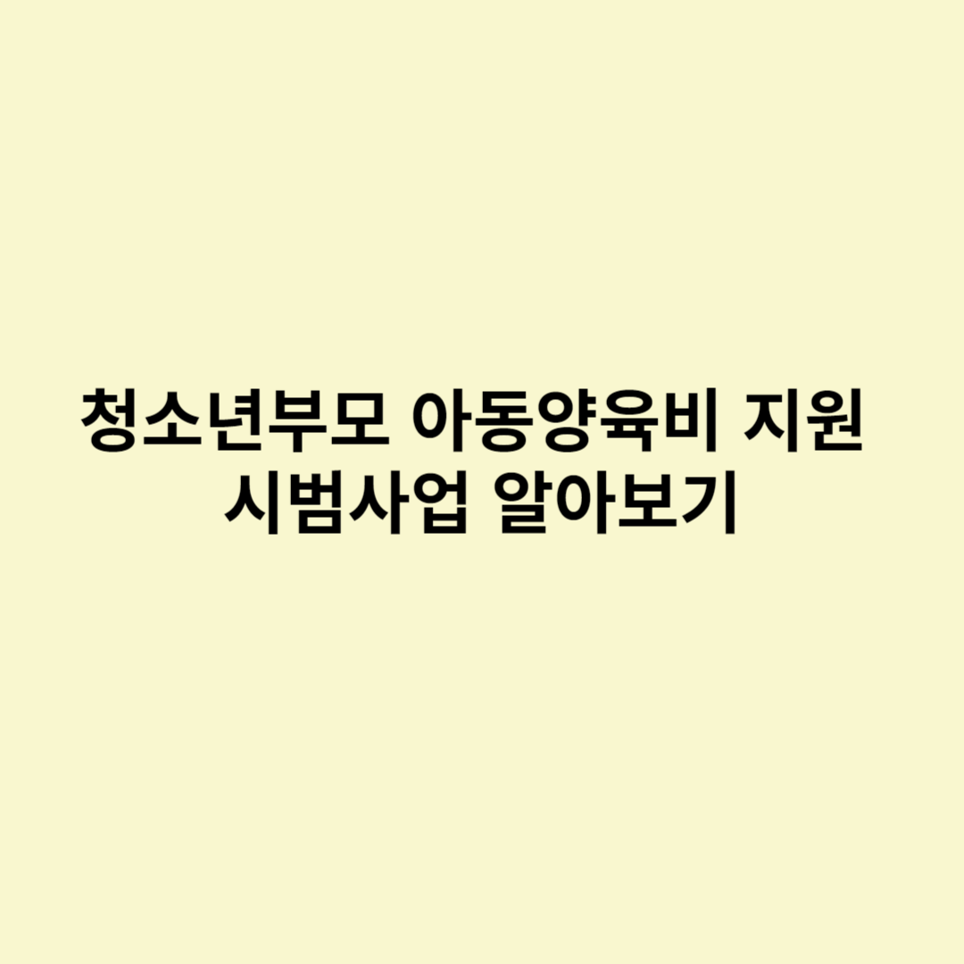  청소년부모 아동양육비 지원 시범사업 알아보기