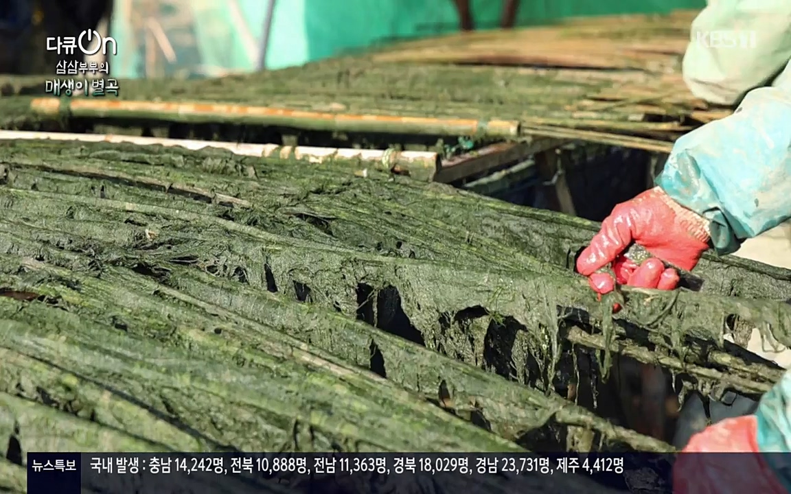 다큐 온.E131p-NEXT.mp4_20220319_173959.292.jpg