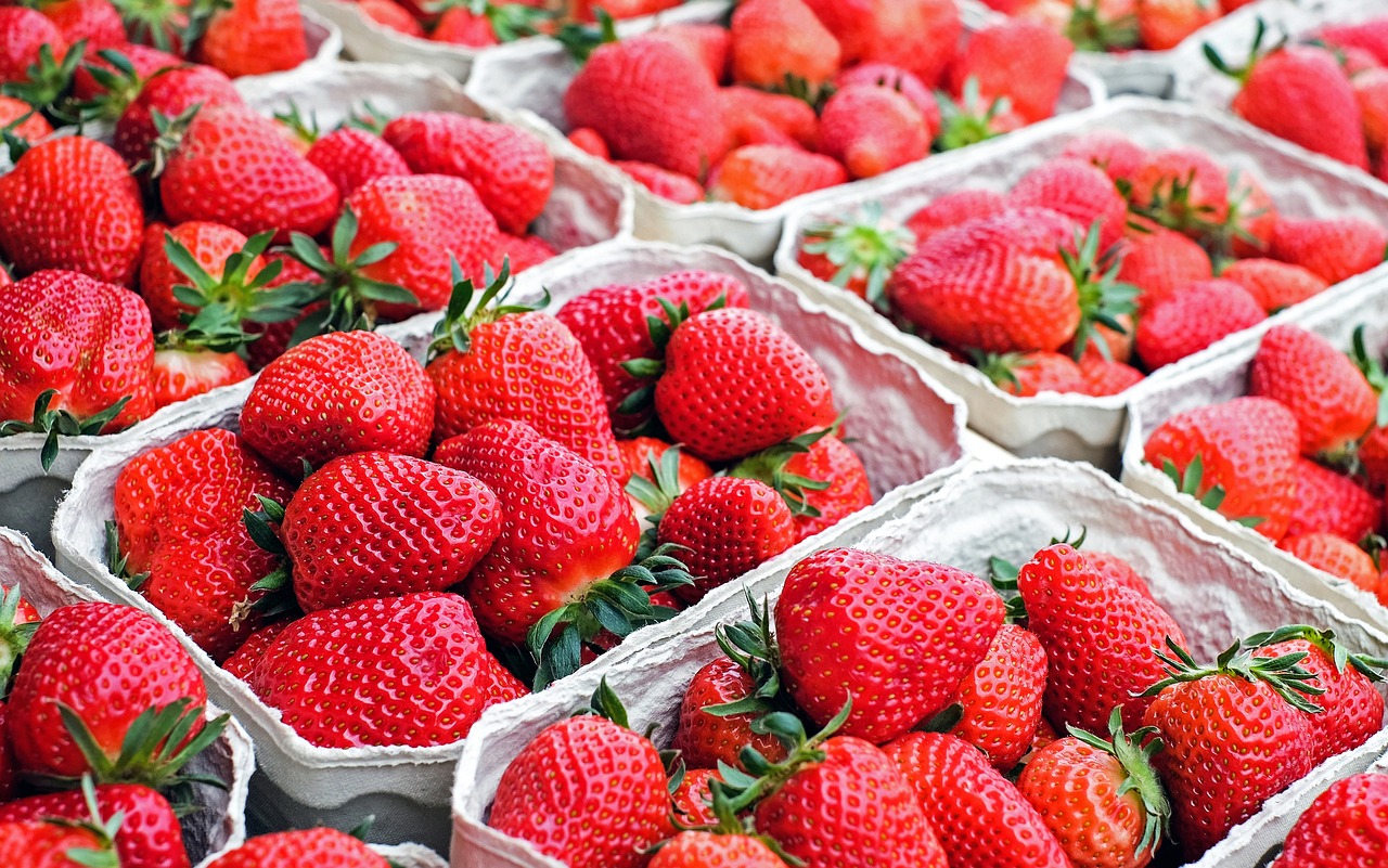 🍓 2025년 논산딸기축제 일정 + 가수 라인업 + 주차 정보 총정리