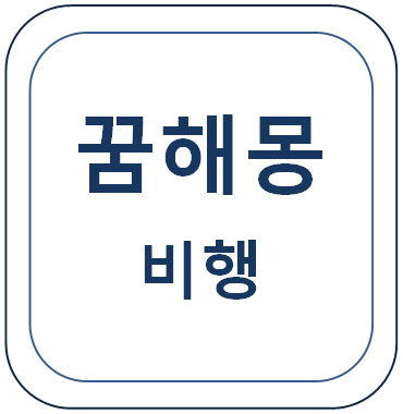  하늘을 날아다니는 꿈(하늘을 나는 꿈, 비행기 타는 꿈 등)