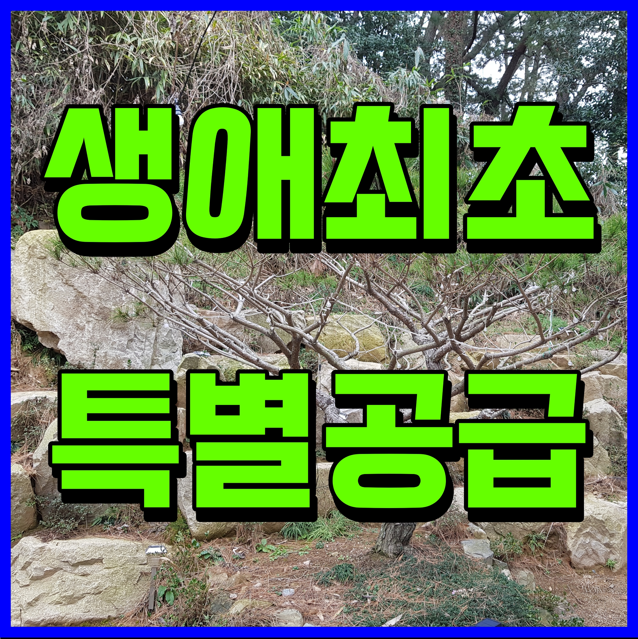  생애최초 특별공급 자격 조건 1인가구 청약통장 사용법 정보
