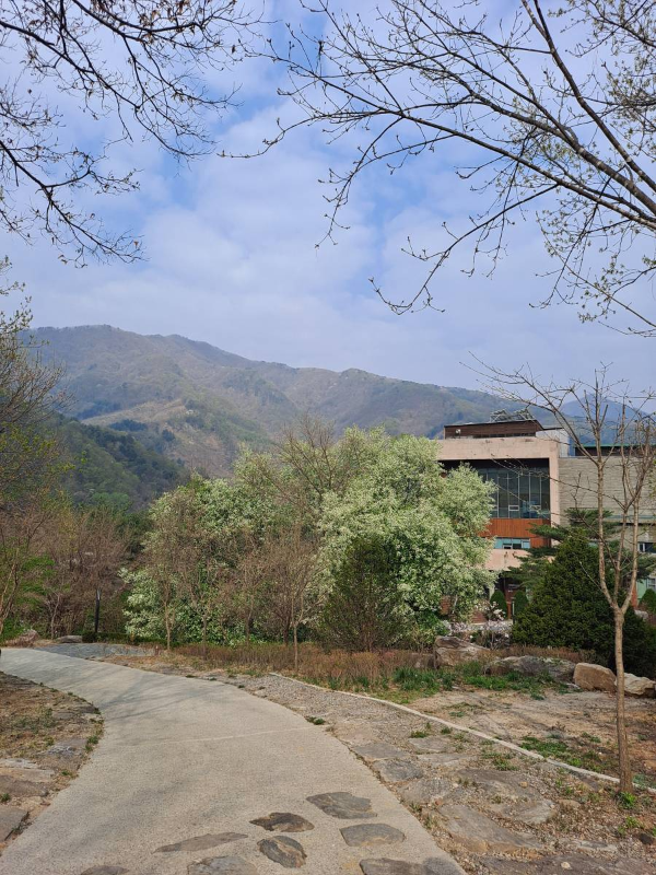 천로역정 천성 가는길