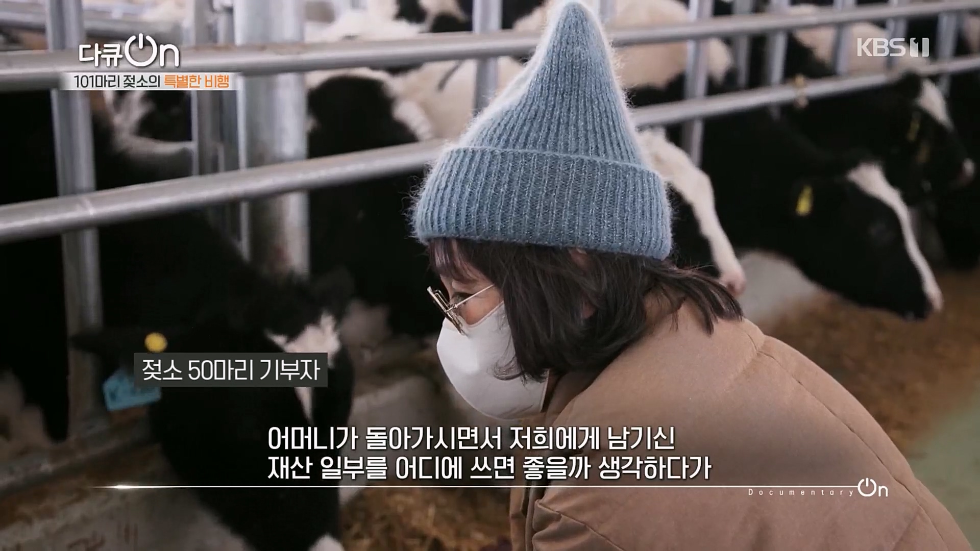 다큐 On.E184.230203p.H264-F1RST.mp4_20230211_173417.421.jpg