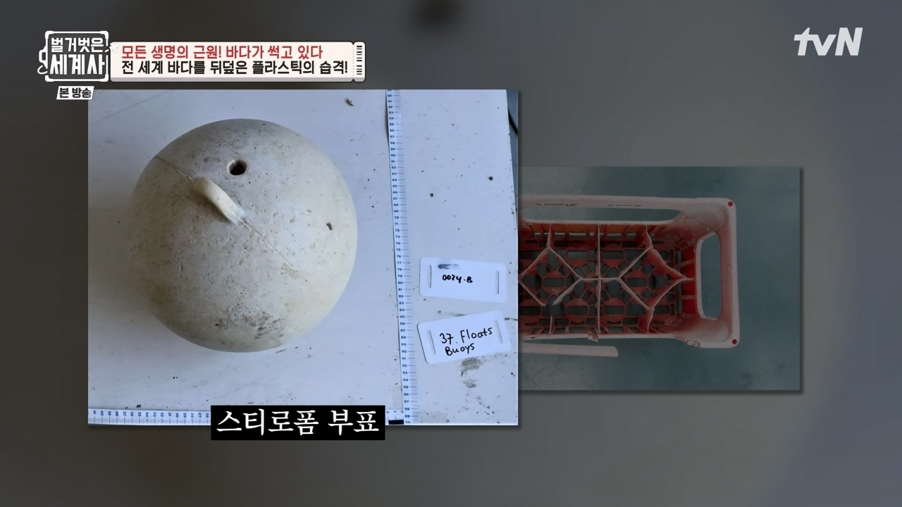 벌거벗은 세계사.E90.230315p-NEXT.mp4_20230419_212540.430.jpg
