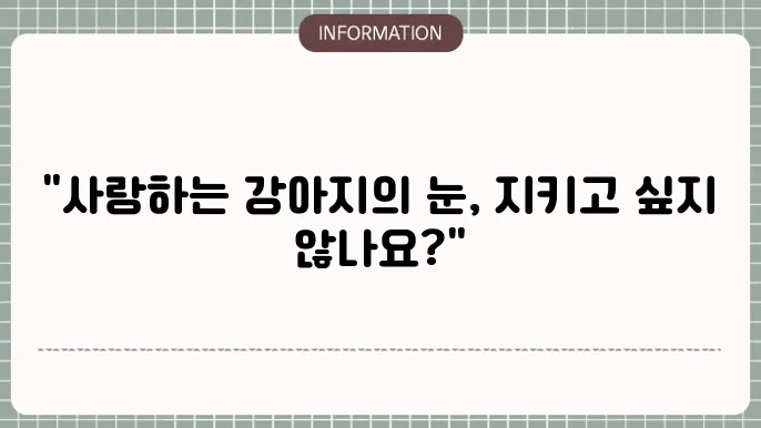강아지 백내장 수술비용: 