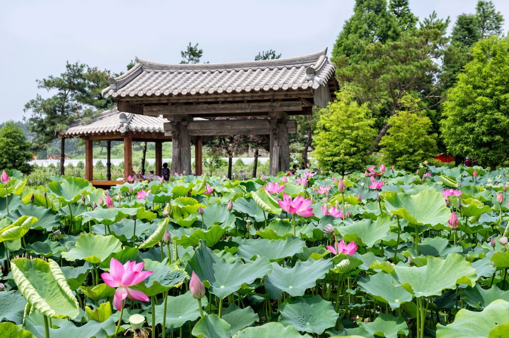 청산수목원 테마 정원으로 떠나는 태안 여행 