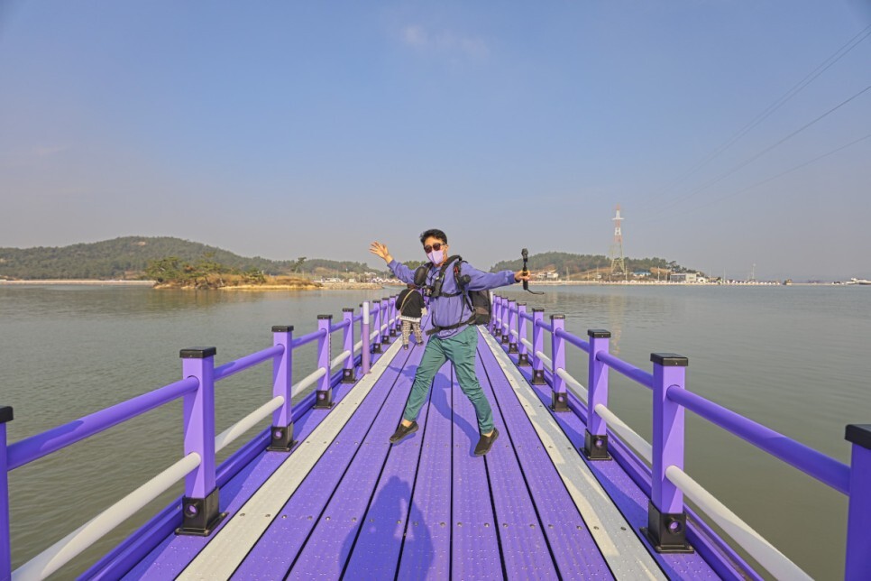 퍼플 아일랜드 퍼플 브리지