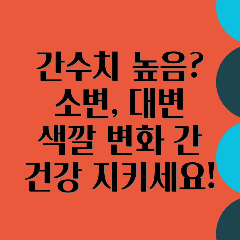 간수치 높음