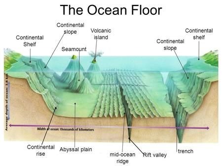 ocean floor