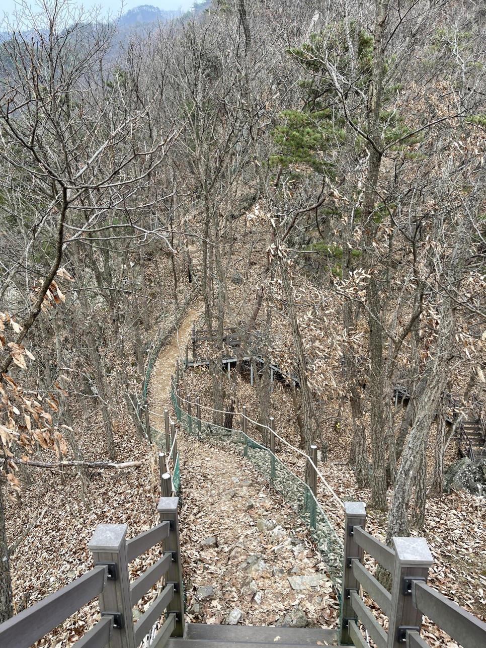 / 쩝쩝박사님들과 신나는 먹부림 [캠핑기록] 수주팔봉 노지캠핑 50