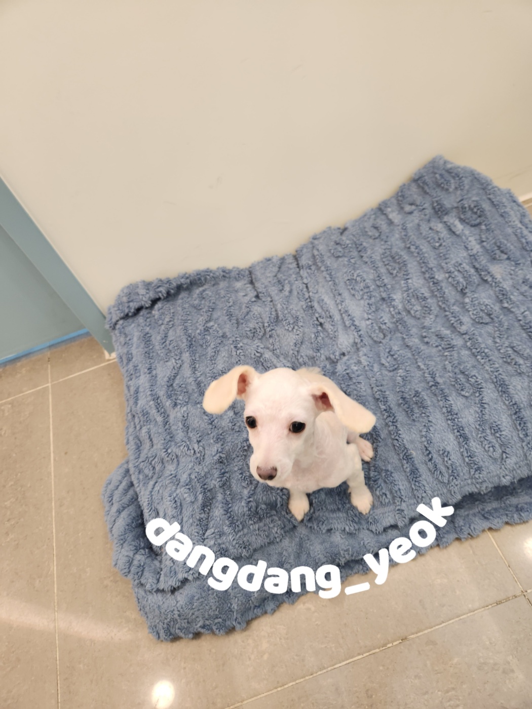보리미용실 이미지