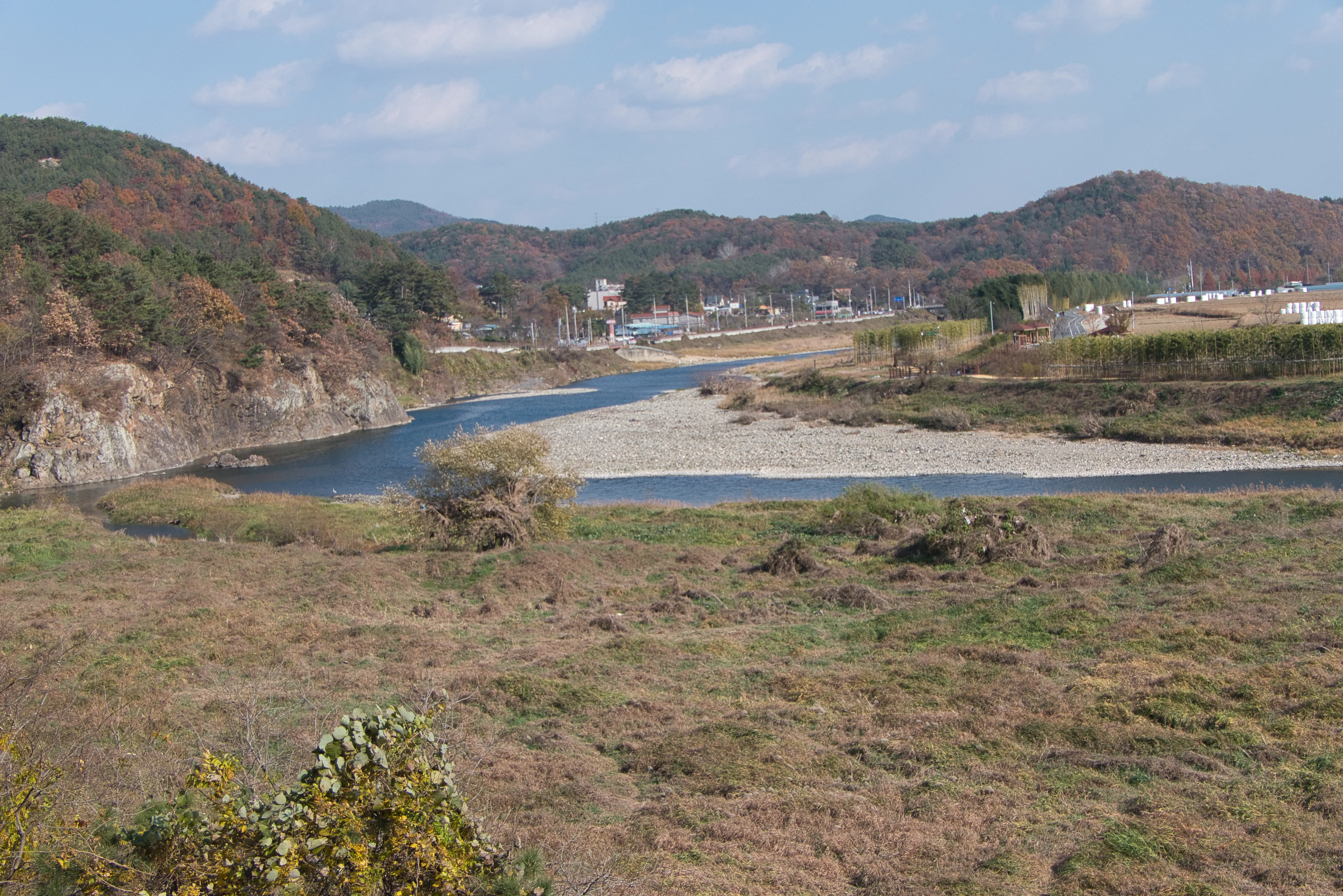 img.webp