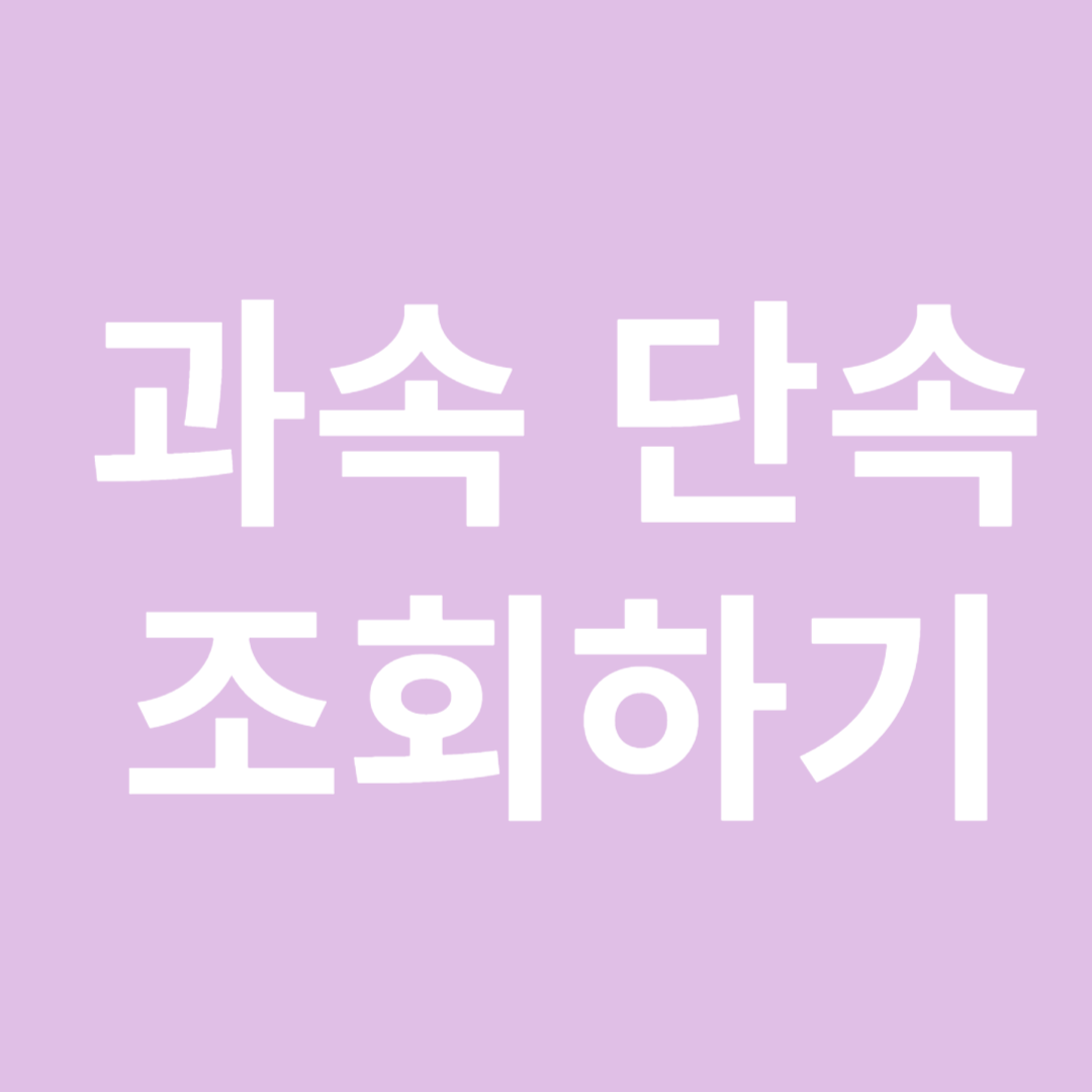 과속 단속 조회