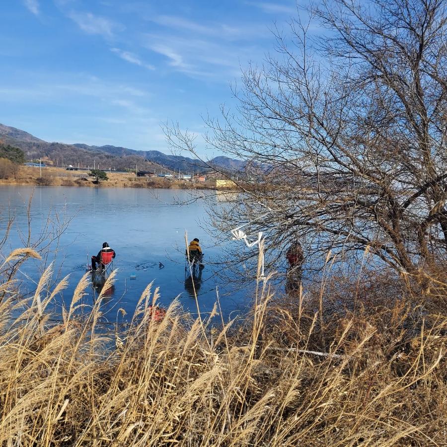 14일 & 보식총정리 12