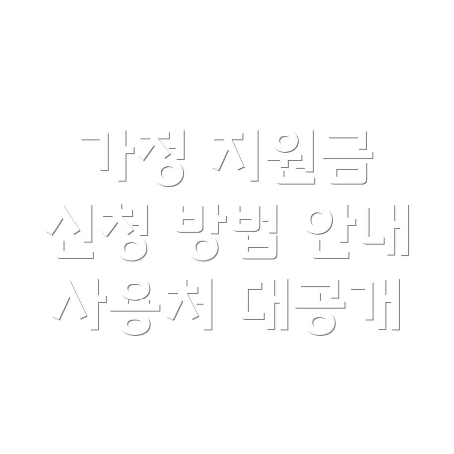 다자녀 가정 지원금