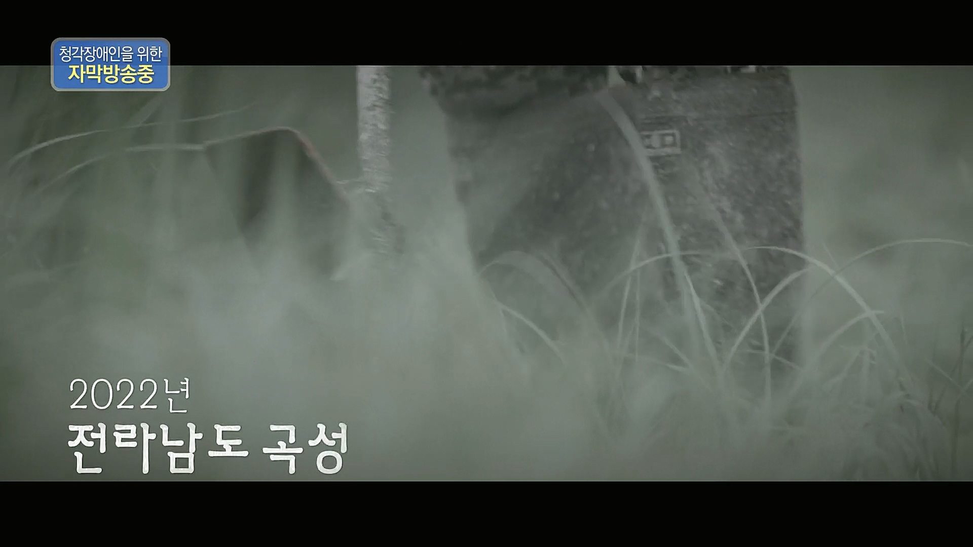 다큐 인사이트.E140.230202p.H264-F1RST.mp4_20230204_191218.434.jpg