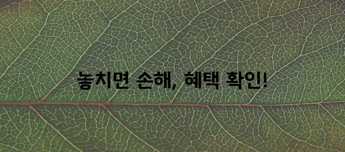 보청기 보조금 신청 꼭 받으세요!
