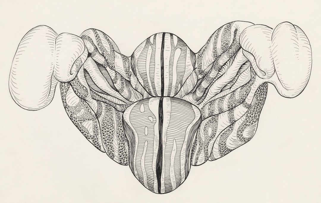 Anatomy.