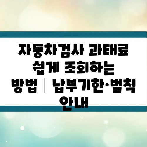 자동차검사 과태료 쉽게 조회하는 방법│납부기한·벌칙 안내