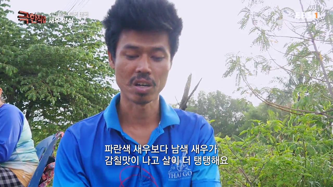TV - 전 국민의 평생학교 EBS수산물의 천국 태국, 새우 양식과 말린 생선.mp4_20240604_200751.449.jpg