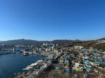강원도 묵호 여행 묵호항 수산시장 등대 명소_12