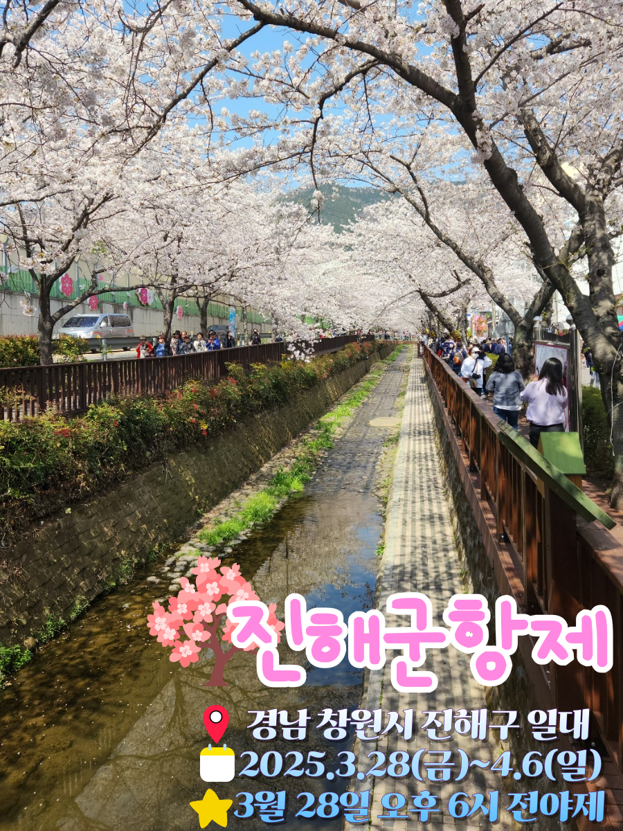 진해 이미지