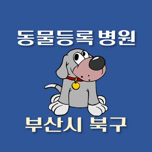 썸네일-부산시-북구-동물등록-대행기관-병원