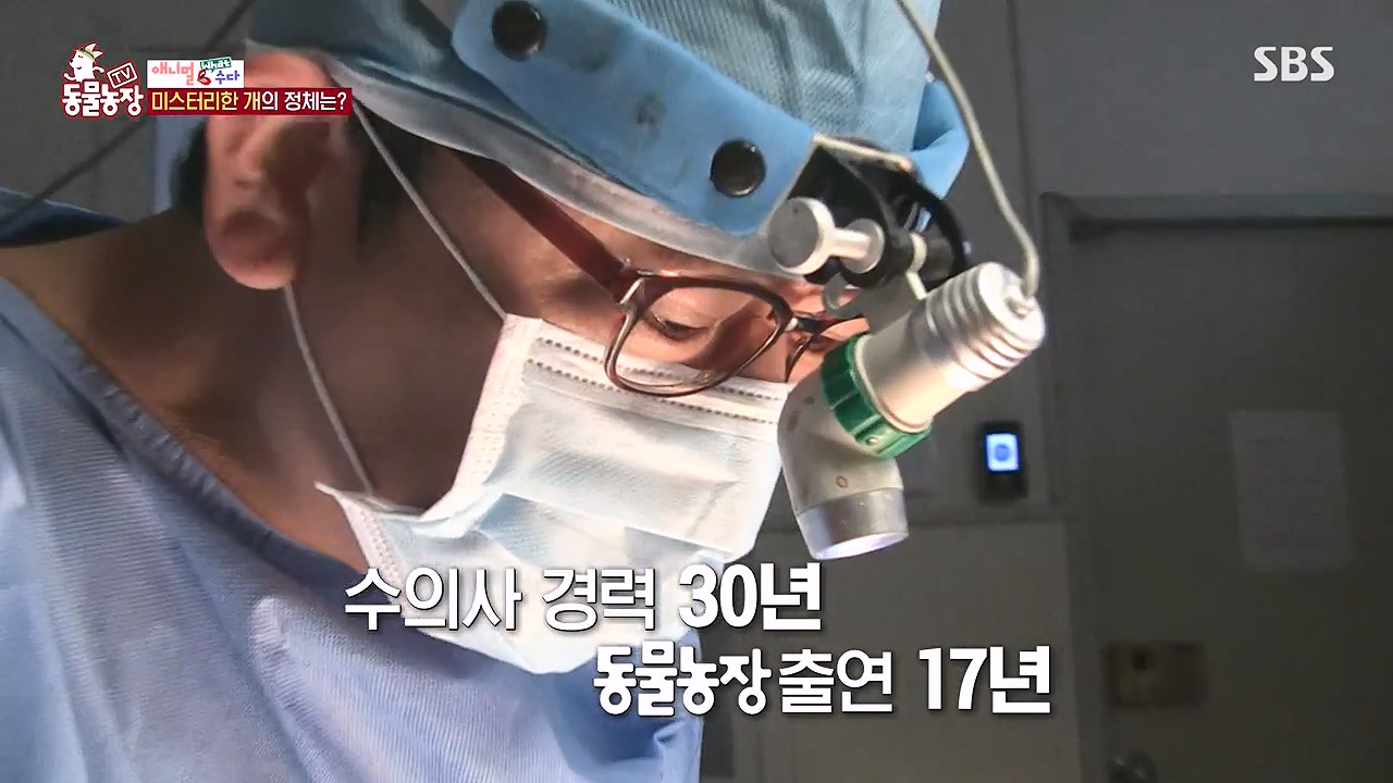 TV 동물농장.E1187.240902p-NEXT.mp4_20240901_153835.725.jpg
