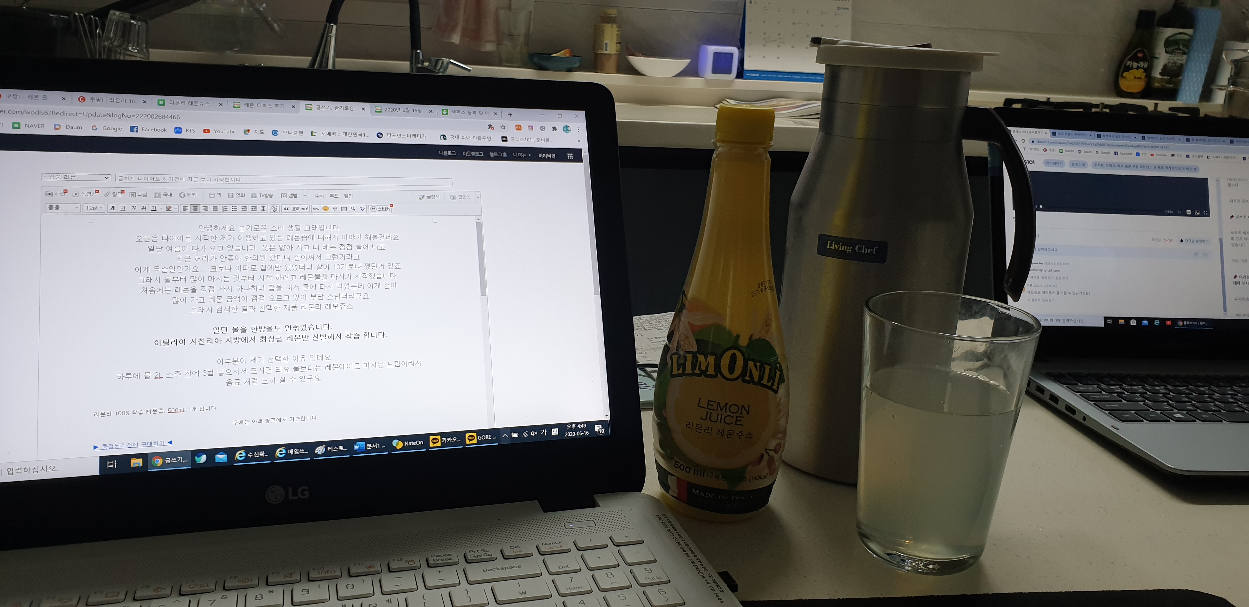  고래 솔직 리뷰 #1. 레몬 디톡스를 위한 레몬즙