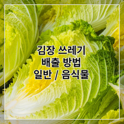 썸네일 김장 쓰레기 배출 방법