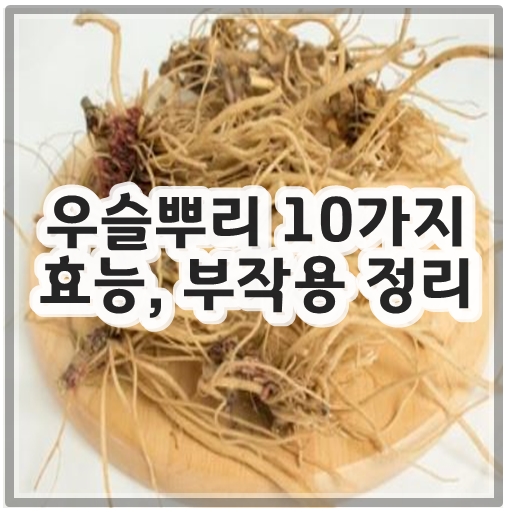 우슬뿌리 10가지 효능&#44; 부작용 정리