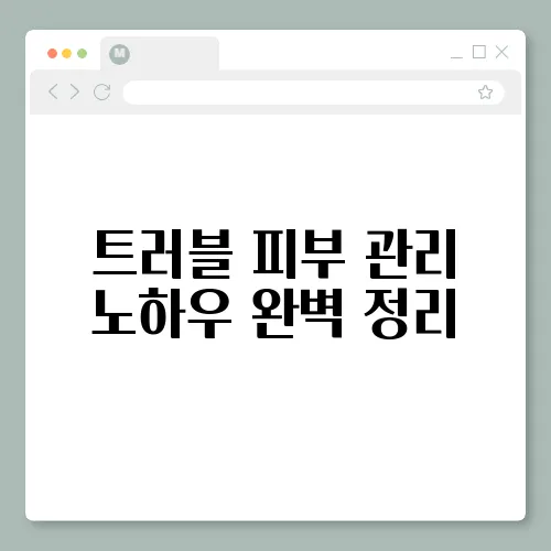 트러블 피부 관리 노하우 완벽 정리
