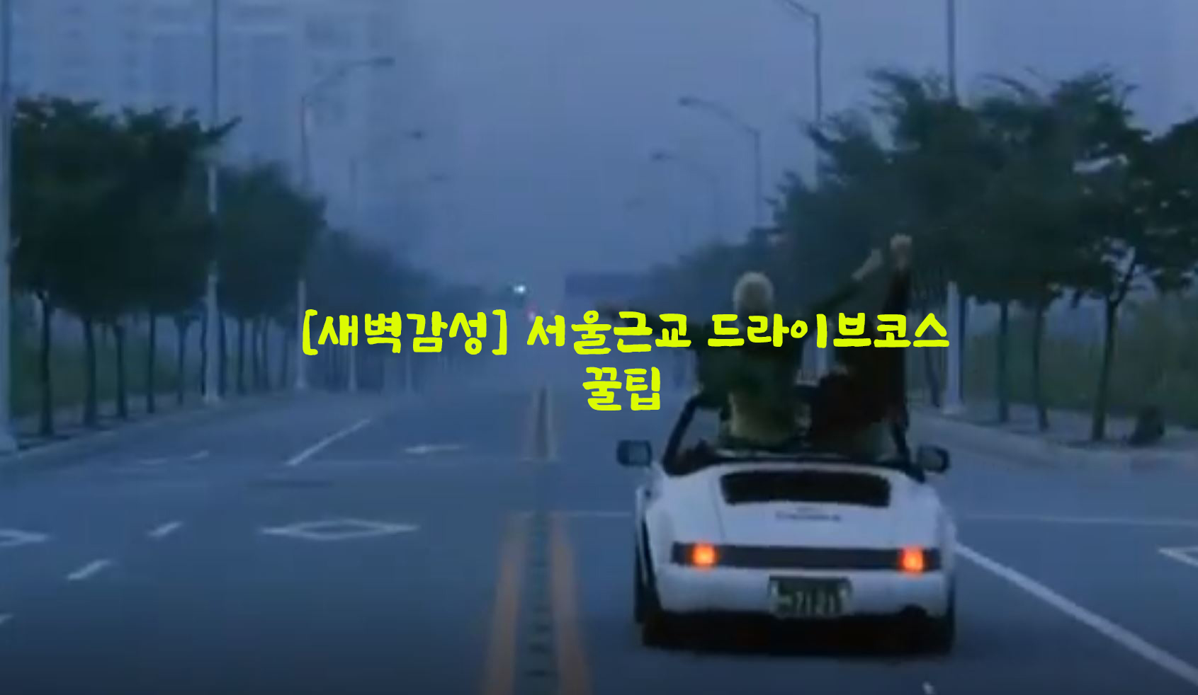  [새벽감성] 서울근교 드라이브코스…꿀팁