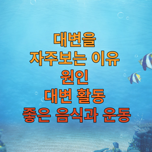 대변을 자주보는 이유&#44; 원인 및 대변 활동에 좋은 음식과 운동