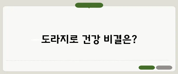 도라지 효능 기침 하나에 달라지는 건강