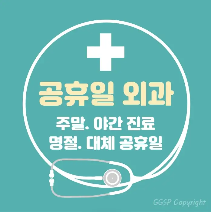 공휴일-병원-24시간-외과-찾기