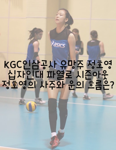  KGC인삼공사 유망주 정호영 십자인대 파열로 시즌아웃 정호영의 사주와 운의 흐름은?