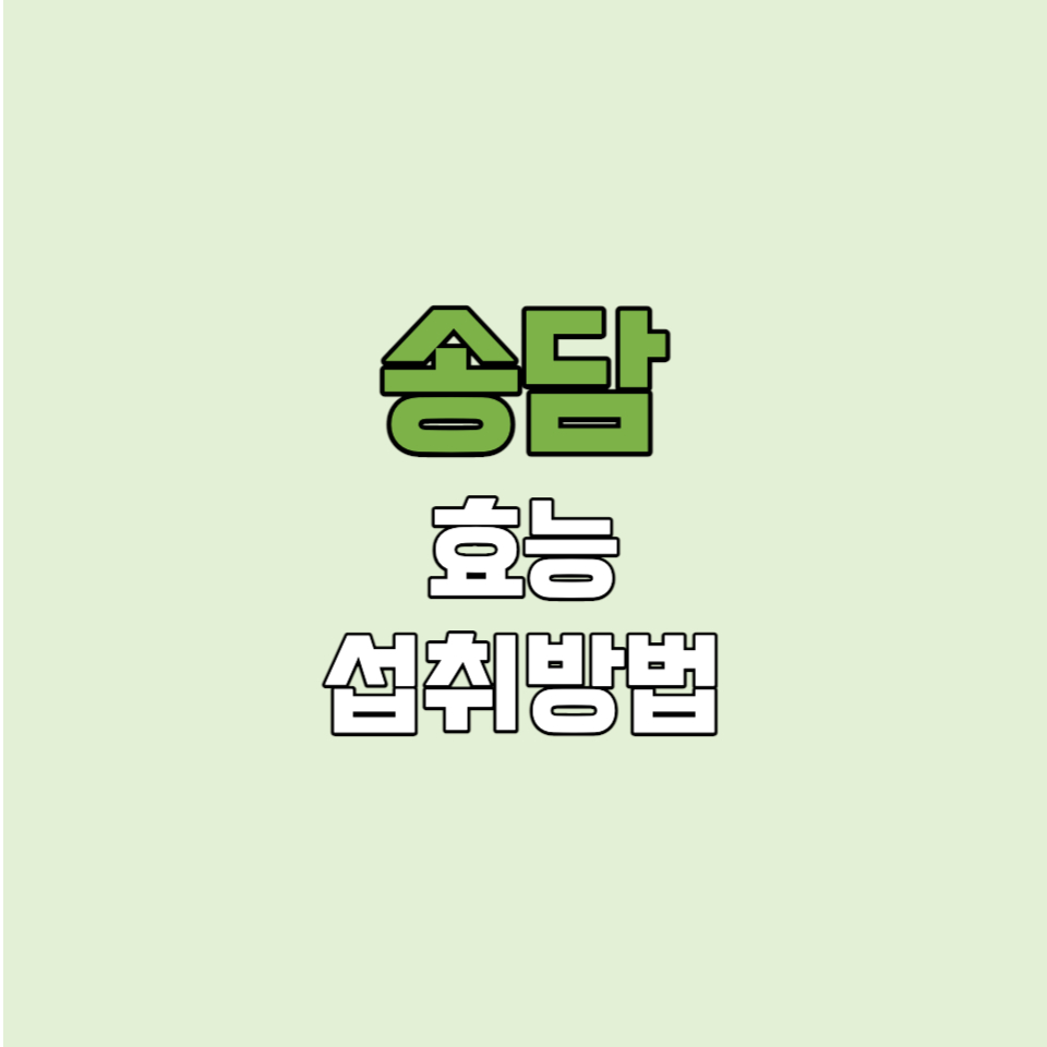 송담 효능 올바른 섭취 방법 썸네일 사진