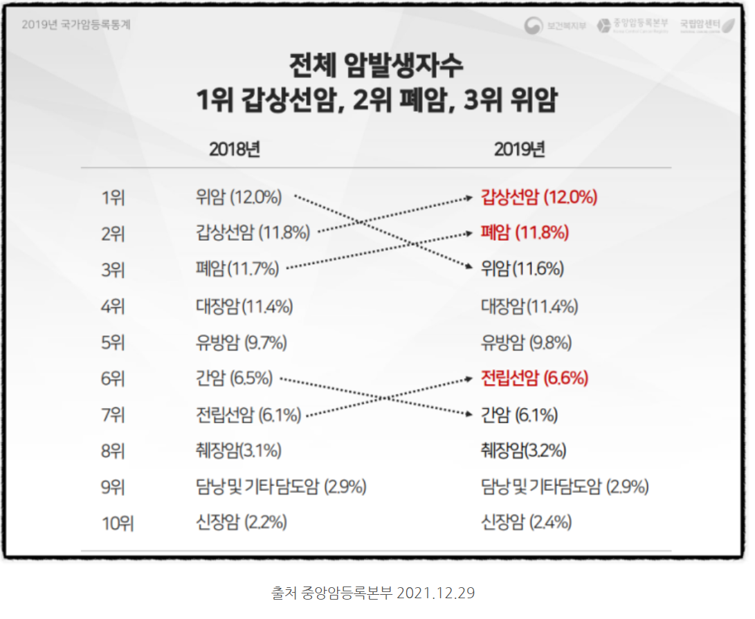 10 대 고액 암