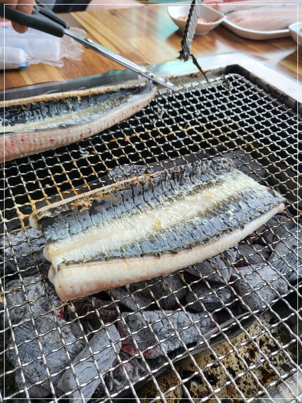 금단양만-장어
